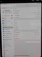 iPad Pro 13 Zoll M4- WLAN