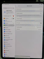 iPad Pro 13 Zoll M4- WLAN